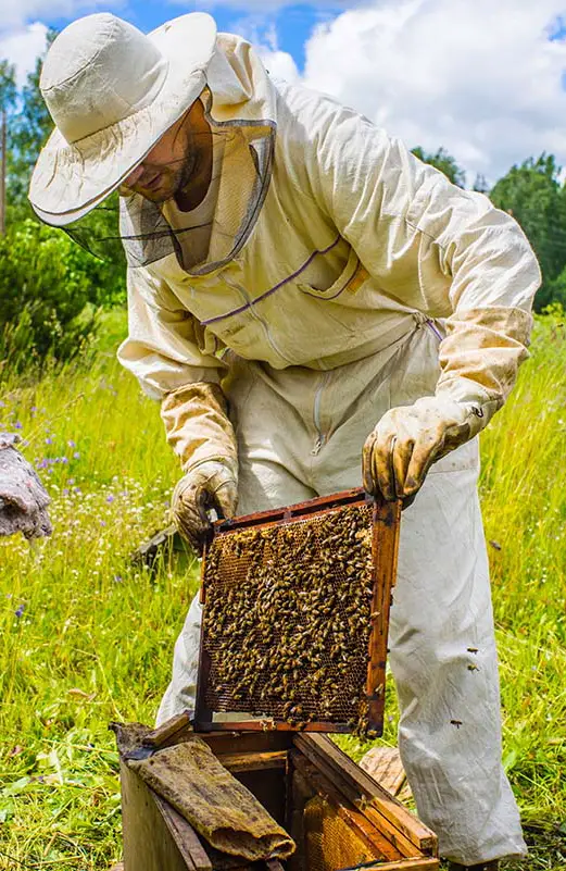 beekeeping clothing