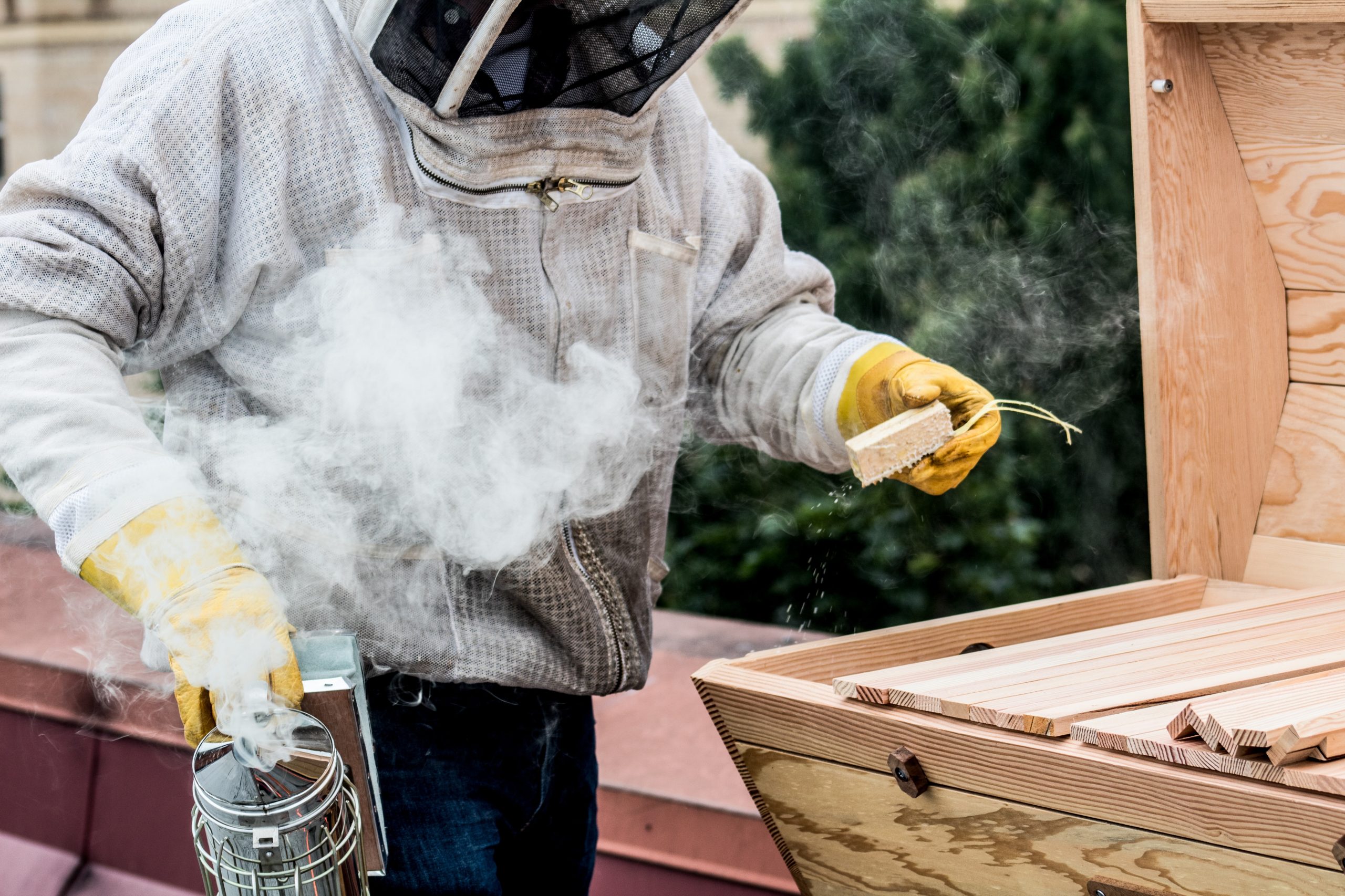 BEEKEEPER definição e significado